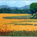 Champ de blé en été