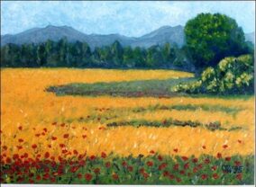 Champ de blé en été