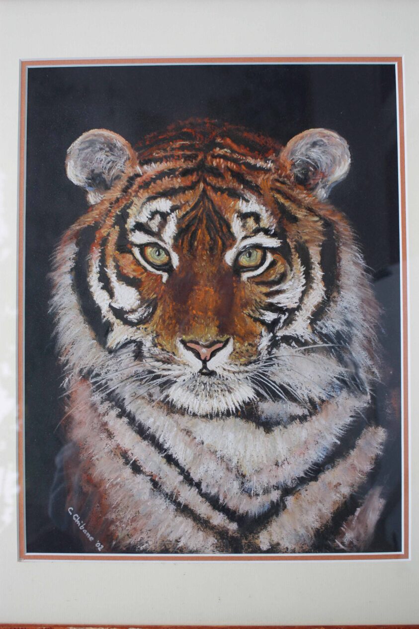Tigre