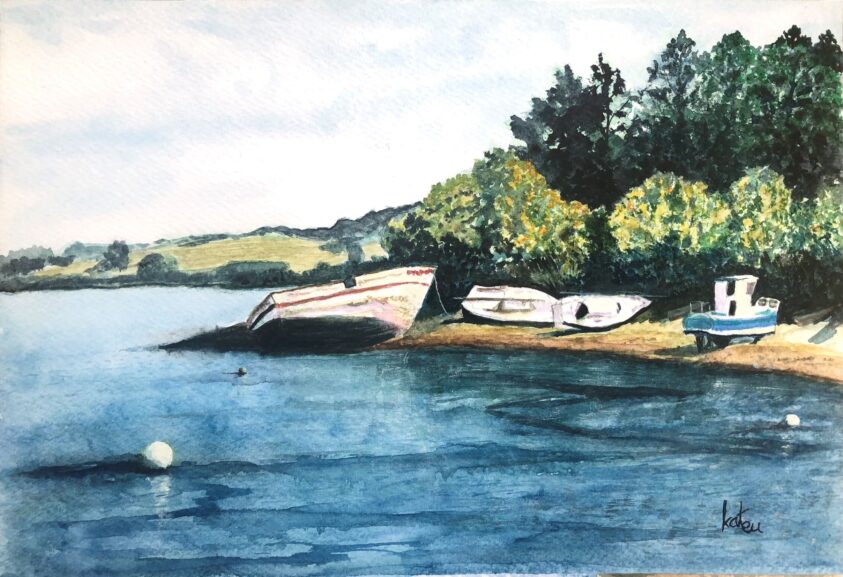 Audierne Goyen bateaux