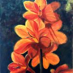 crocosmia-orange-kateu