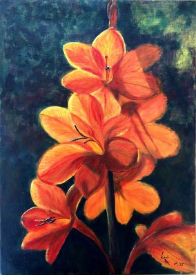 crocosmia-orange-kateu